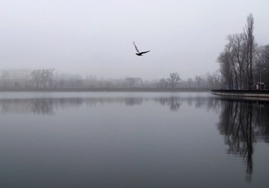 Flight over lake